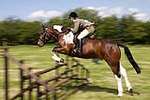 Wanborough Horse and Dog show